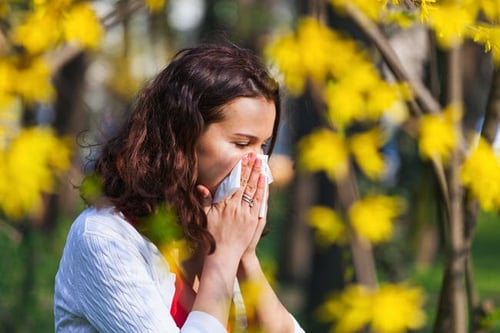 11 SteamTherapy Tips to Relieve Springtime Allergies