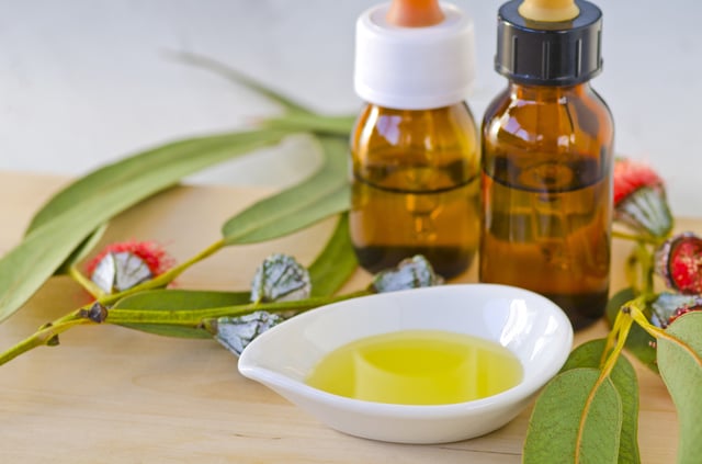 Spring clean your body with the scent of eucalyptus