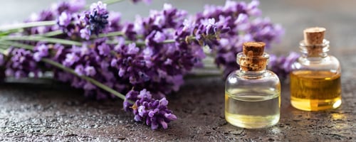 At-Home AromaTherapy Guide for Ultimate Stress Relief and Relaxation